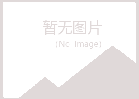 雅江县夏岚金融有限公司